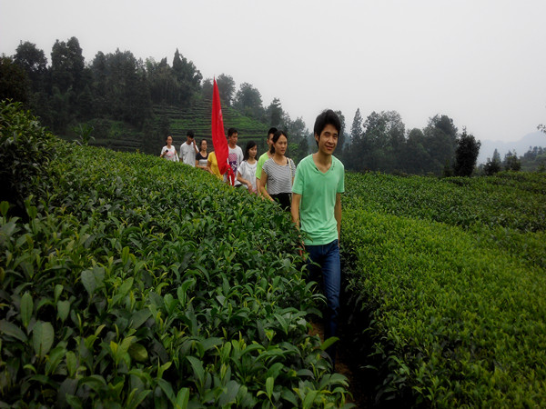 青云村茶基地调研队4.jpg