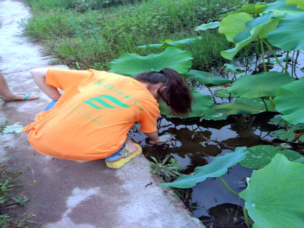 荷花节志愿者 清理垃圾.jpg