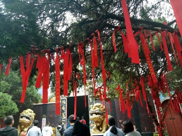 QQ图片20171022130841.jpg