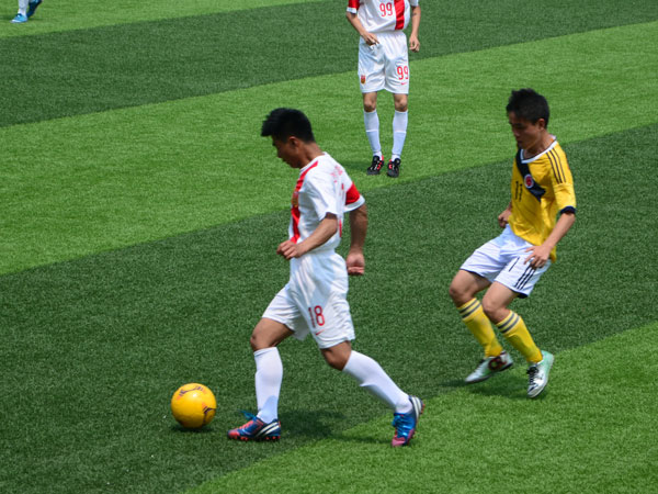 DSC_3852.jpg