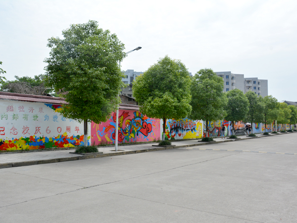 DSC_0897.jpg