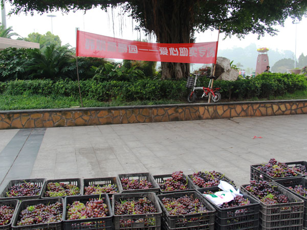 IMG_1967.JPG