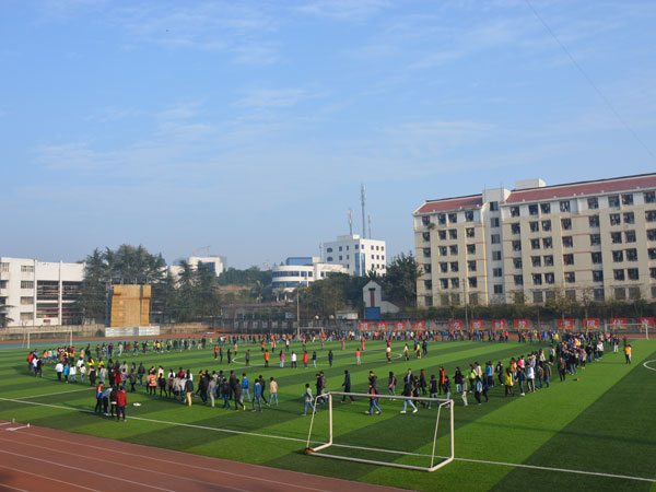 DSC_0031.jpg