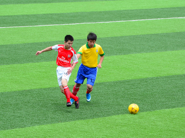 DSC_4812.jpg