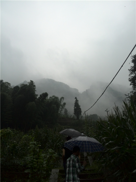 唯梦惟行为屏山05.jpg