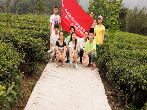 青云村茶基地调研队1.jpg