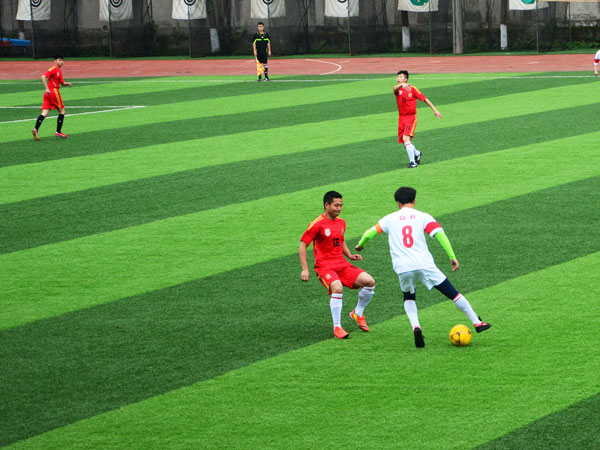 DSC_4478.jpg