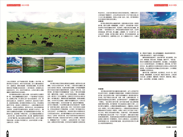 12美在中国.jpg