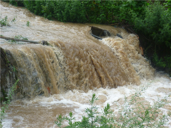 P1010735.jpg