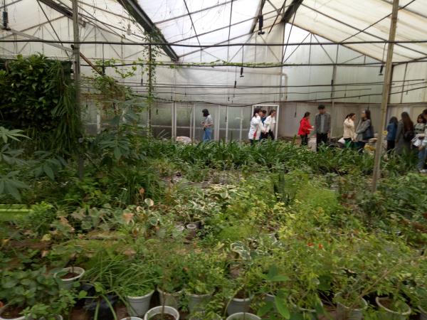 IMG20171014080507.jpg