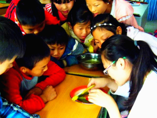 叶脉书签的教学.jpg