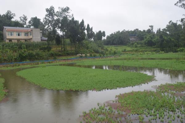 DSC_0030看图王.jpg